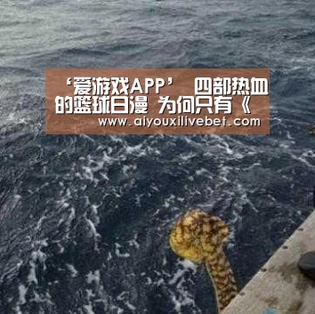 爱游戏平台