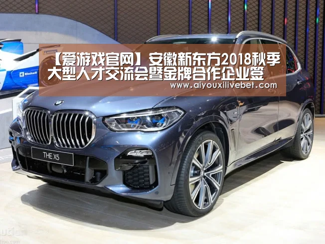 爱游戏官网