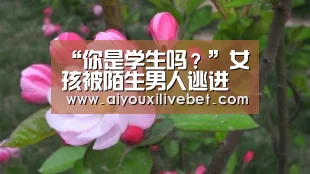 “你是学生吗?”女孩被陌生男人逃进快餐店 对方依然没有放弃【爱游戏官方】(图1) 爱游戏平台