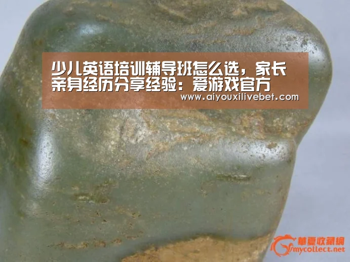 少儿英语培训辅导班怎么选,家长亲身经历分享经验:爱游戏官方(图4) 爱游戏APP